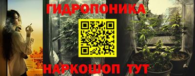 Альфа ПВП Лесосибирск