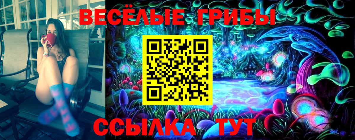 Псилоцибиновые грибы Psilocybine cubensis  Вход с VPN  Пермь  Галлюциногенные грибы Psilocybe 