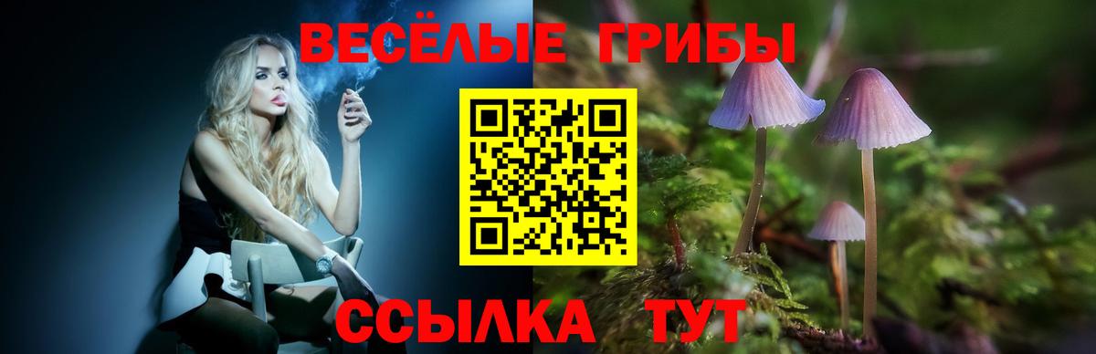 Галлюциногенные грибы прущие грибы Пермь